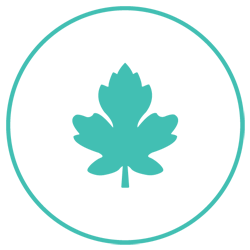 City of Waupaca Parks and Recreation Logo